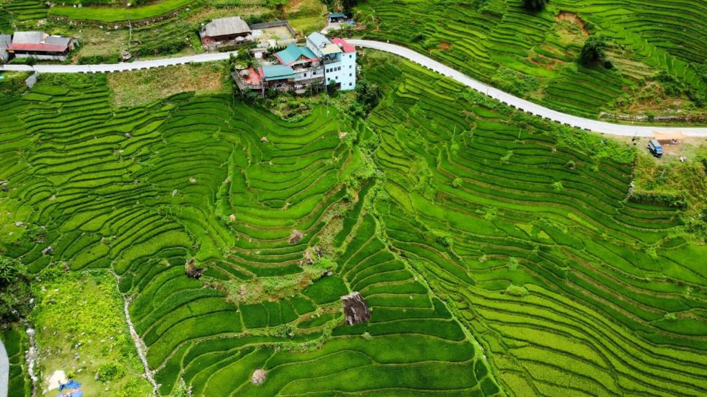 Hoa's homestay Sapa – Sa Pa